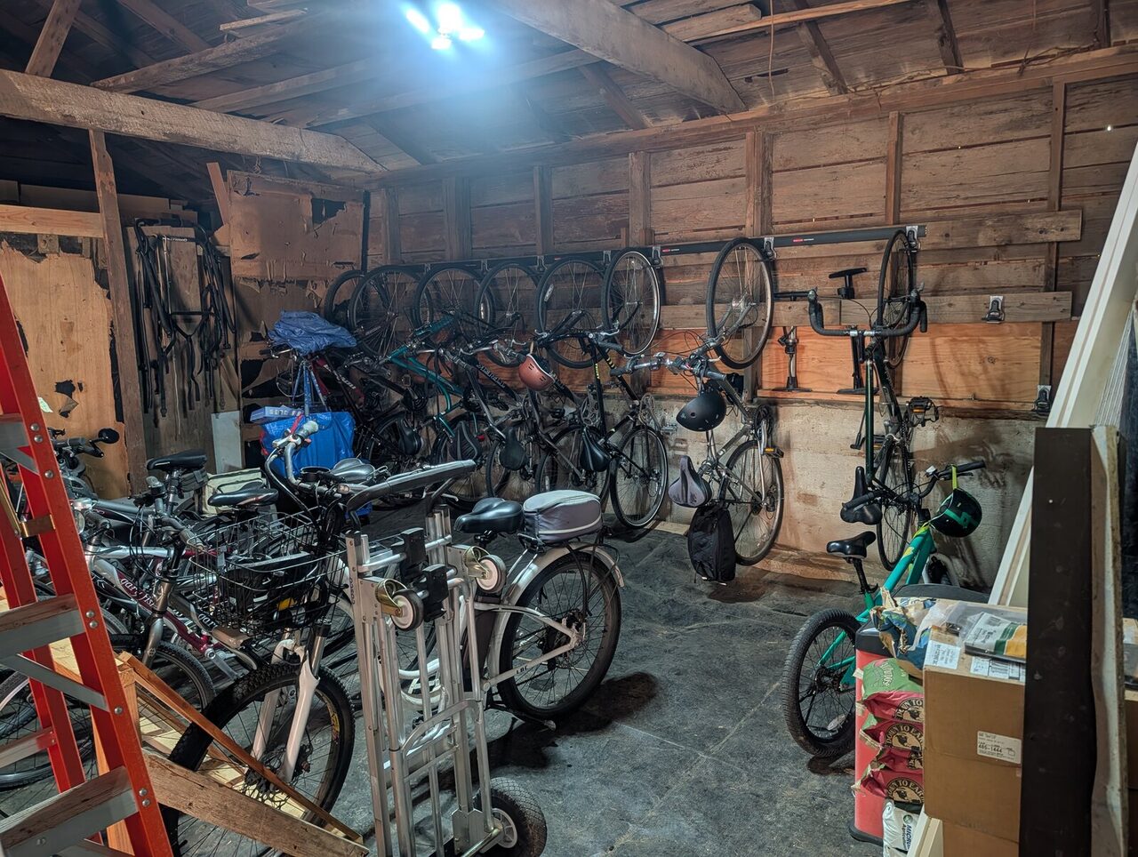 Bikes of every size hanging from the wall and standing on the floor of a timber-framed shed.